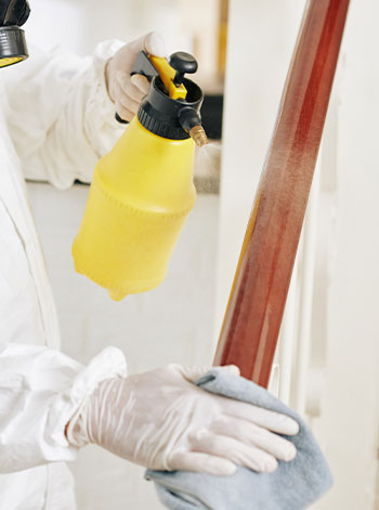 stain-services
