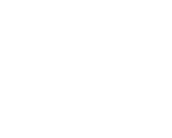 Logo California Elite Painters blanco_Mesa de trabajo 1 copia